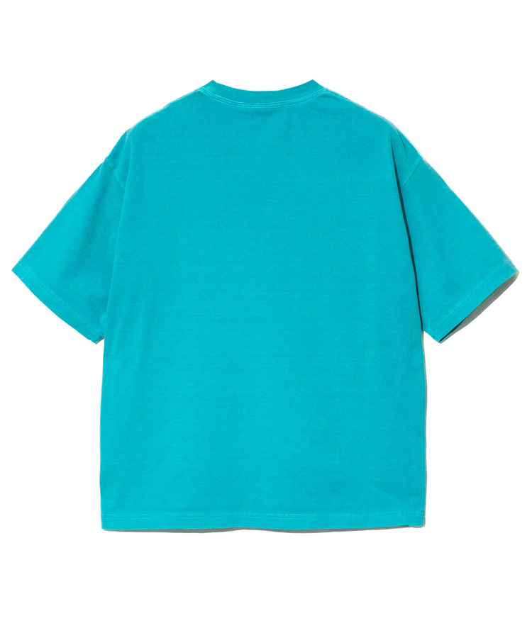 go slow caravan(ゴースローキャラバン) |DUCKSTER/ダックスター ピグメント リラックスフィットTEE《SAUNA DUCK》(MENS)