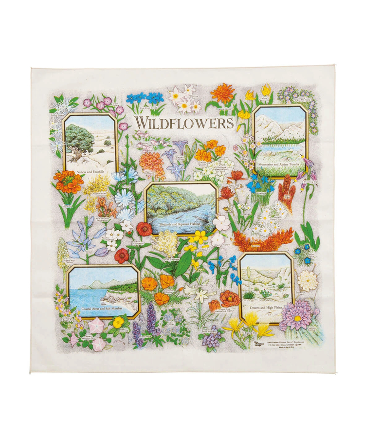 go slow caravan(ゴースローキャラバン) |The Printed Image/プリンティッドイメージ  Nature Print Bandana 《U.S.A.》