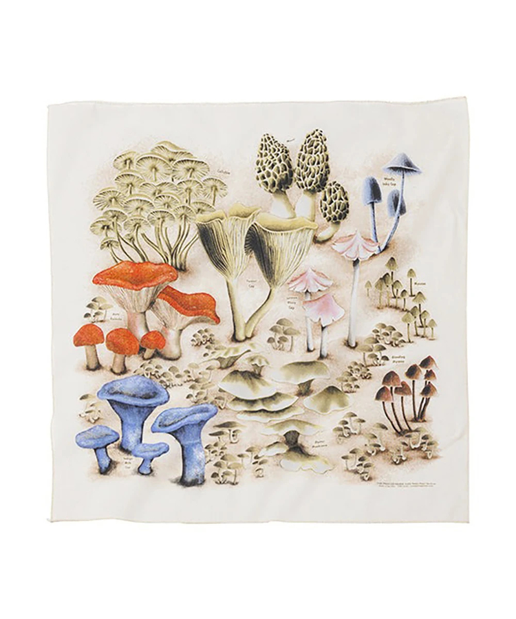 go slow caravan(ゴースローキャラバン) |The Printed Image/プリンティッドイメージ  Nature Print Bandana 《U.S.A.》