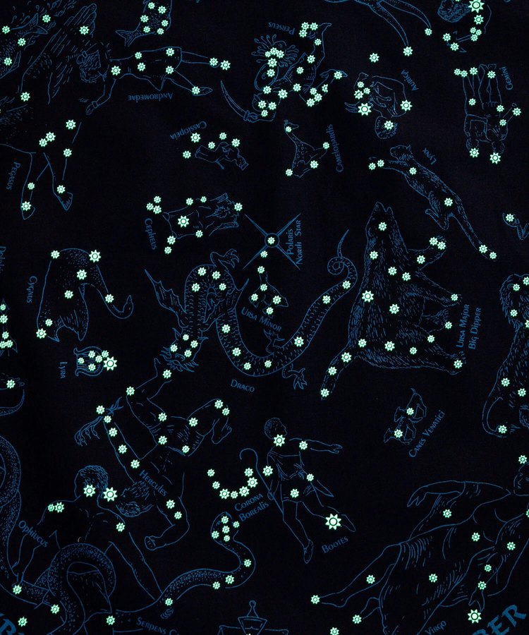 go slow caravan(ゴースローキャラバン) |The Printed Image/プリンティッドイメージ  Nature Print Bandana 《U.S.A.》