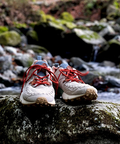 go slow caravan(ゴースローキャラバン) |FLOWER MOUNTAIN/フラワーマウンテン YAMANO (MENS/WOMENS)