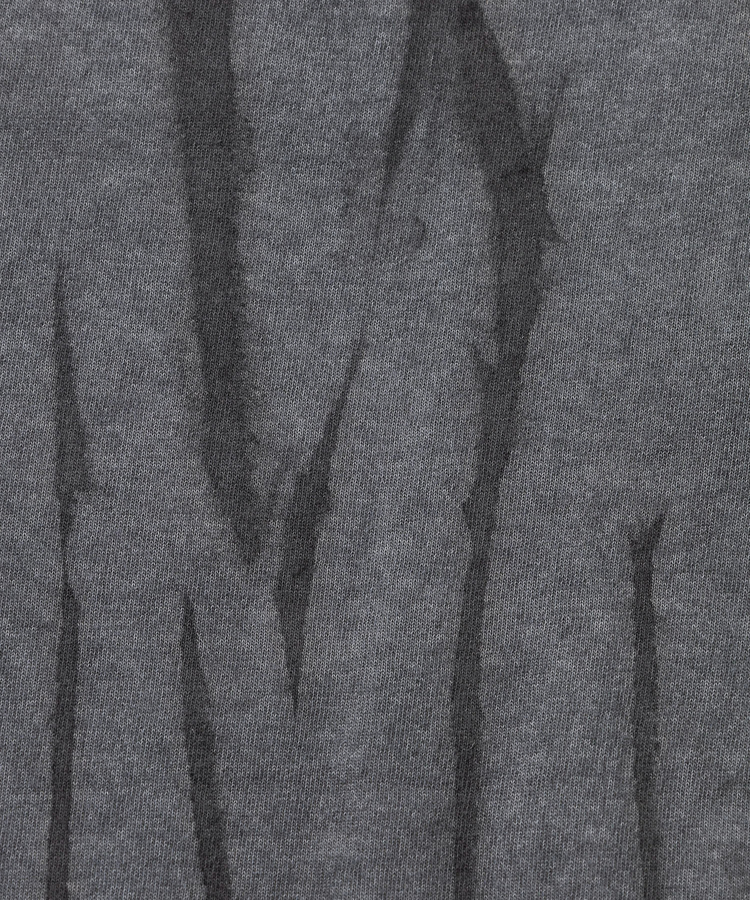 go slow caravan(ゴースローキャラバン) |GOOD ON/グッドオン KOUHEI TERRAI TIE DIE 縦 S/S TEE (MENS)