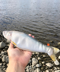 go slow caravan(ゴースローキャラバン) |Camp&fishing/キャンプ＆フィッシング フィッシングポーチ
