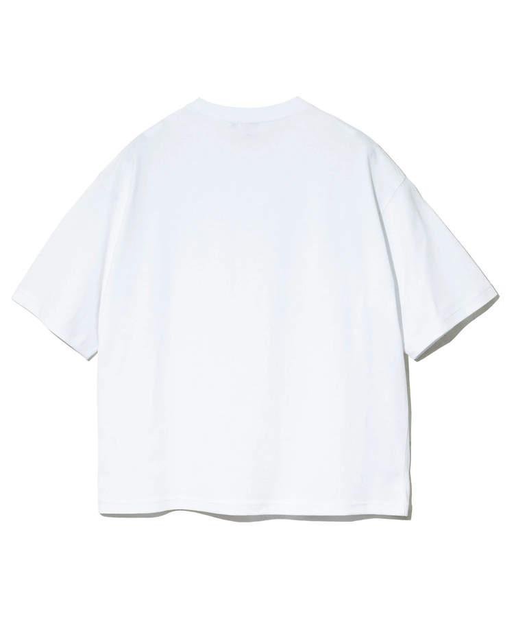 go slow caravan(ゴースローキャラバン) |Duckster/ダックスター DS×ART JUNKIE コラボS/STEE《CALM DRAGON》 (MENS)