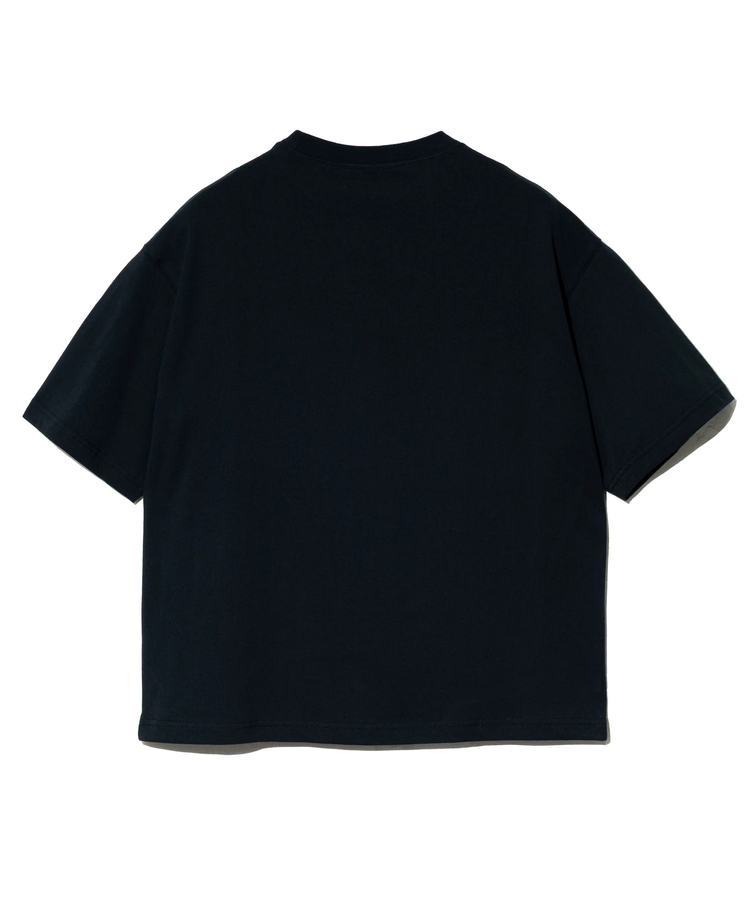 go slow caravan(ゴースローキャラバン) |Duckster/ダックスター DS×ART JUNKIE コラボS/STEE《CALM DRAGON》 (MENS)