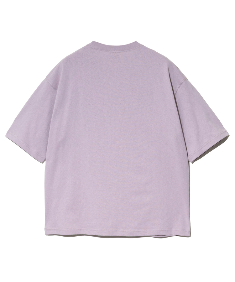 go slow caravan(ゴースローキャラバン) |Duckster/ダックスター DS×ART JUNKIE コラボS/STEE《CALM DRAGON》 (MENS)