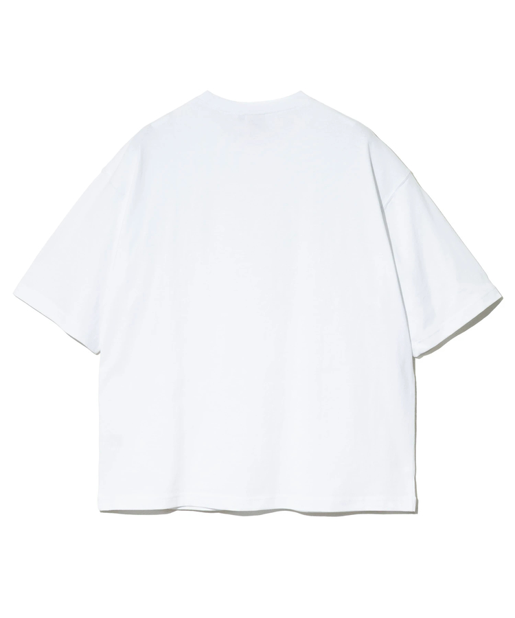 go slow caravan(ゴースローキャラバン) |Duckster/ダックスター DS×ART JUNKIE コラボS/STEE《BUTIGER》(MENS)