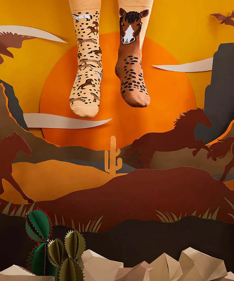 go slow caravan(ゴースローキャラバン) |Many mornings/メニーモーニングス Regular Socks-2 (MENS/WOMENS)