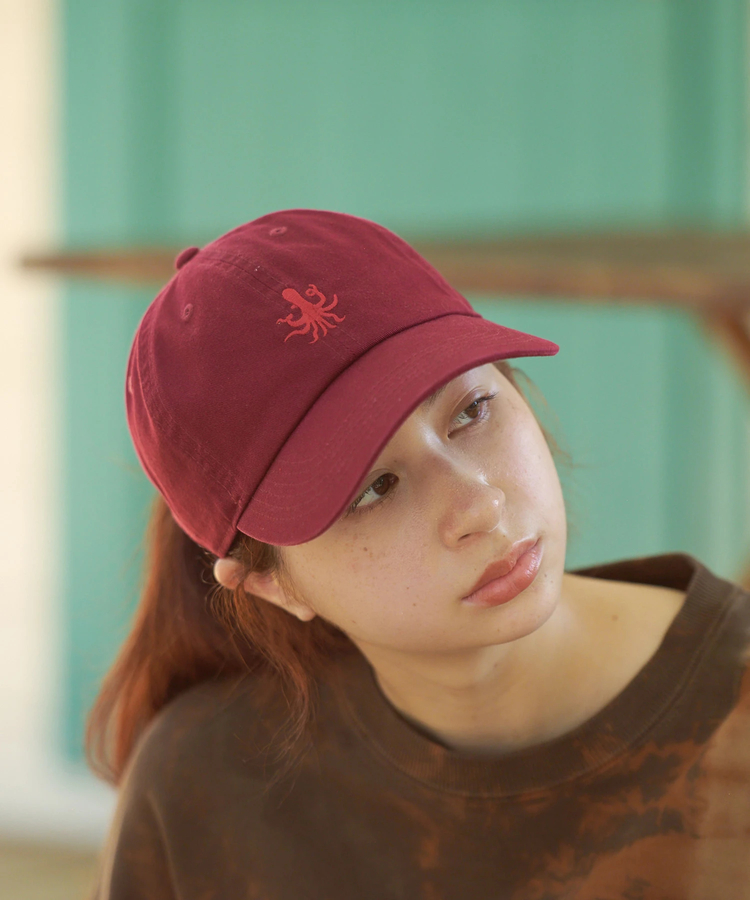 go slow caravan(ゴースローキャラバン) |devadurga/デヴァドゥルガ TACO CAP