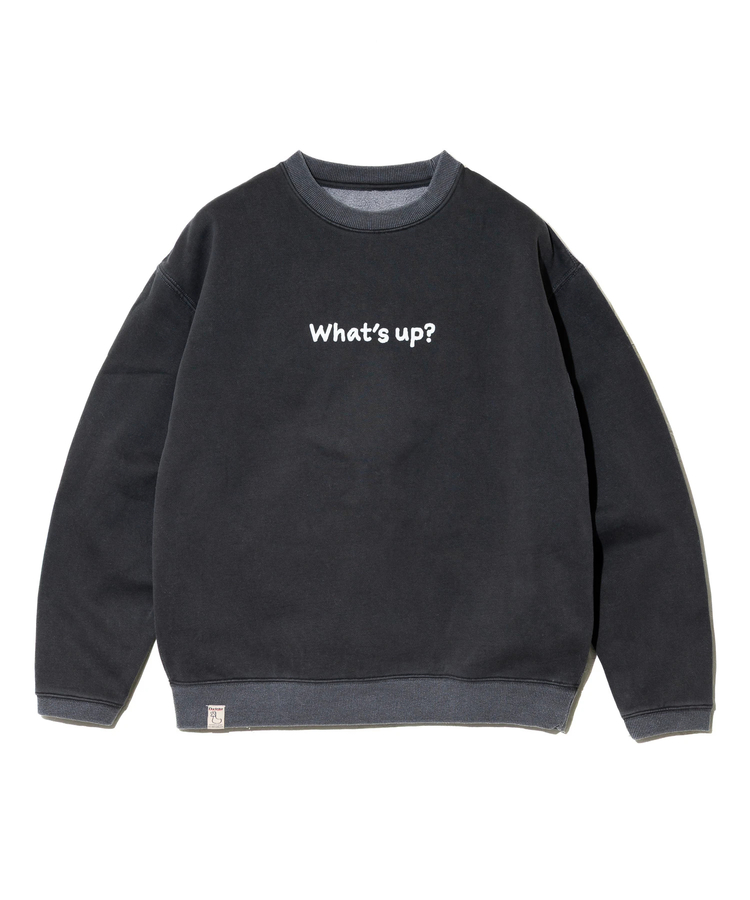 go slow caravan(ゴースローキャラバン) |DUCKSTER/ダックスター リバーシブル クルースウェット (MENS)