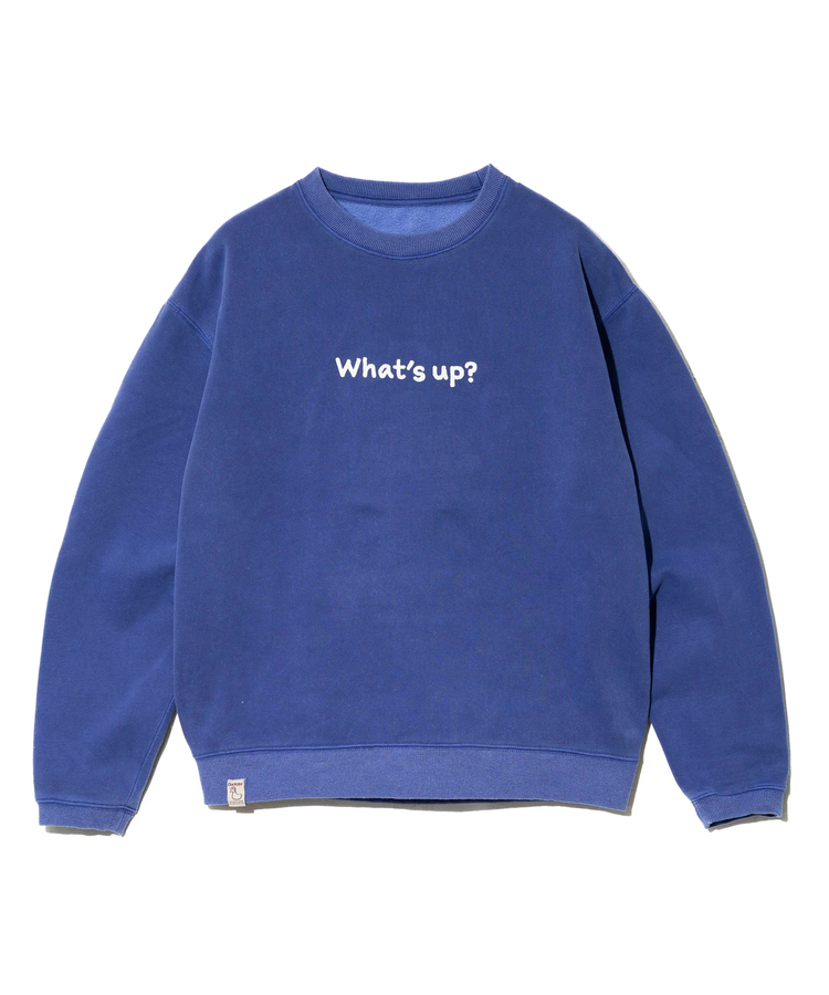 go slow caravan(ゴースローキャラバン) |DUCKSTER/ダックスター リバーシブル クルースウェット (MENS)