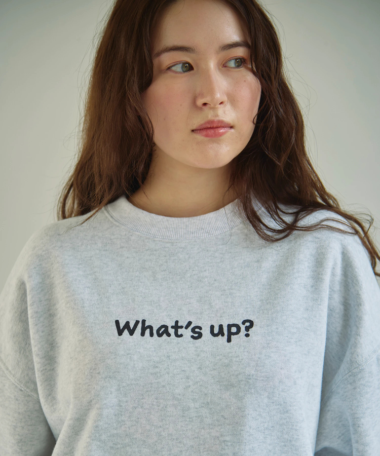 go slow caravan(ゴースローキャラバン) |DUCKSTER/ダックスター リバーシブル クルースウェット (MENS)