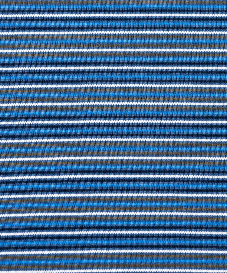 go slow caravan(ゴースローキャラバン) |SCREEN STARS/スクリーンスターズ MULTI BORDER S/S TEE (MENS)