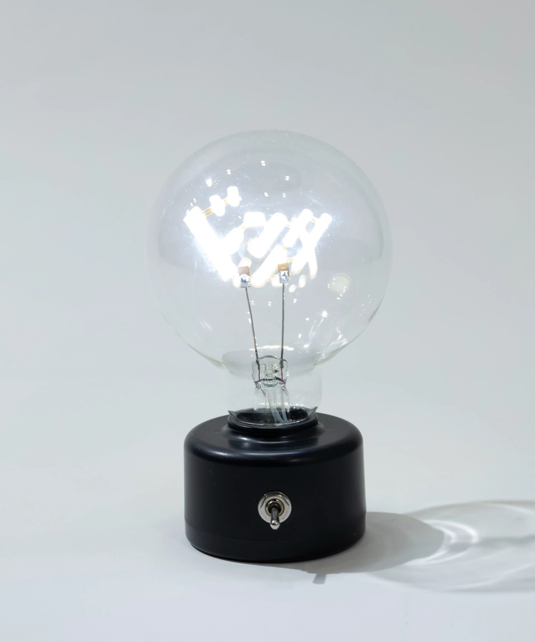 go slow caravan(ゴースローキャラバン) |SLOWER/スローワー LED BULB LIGHT