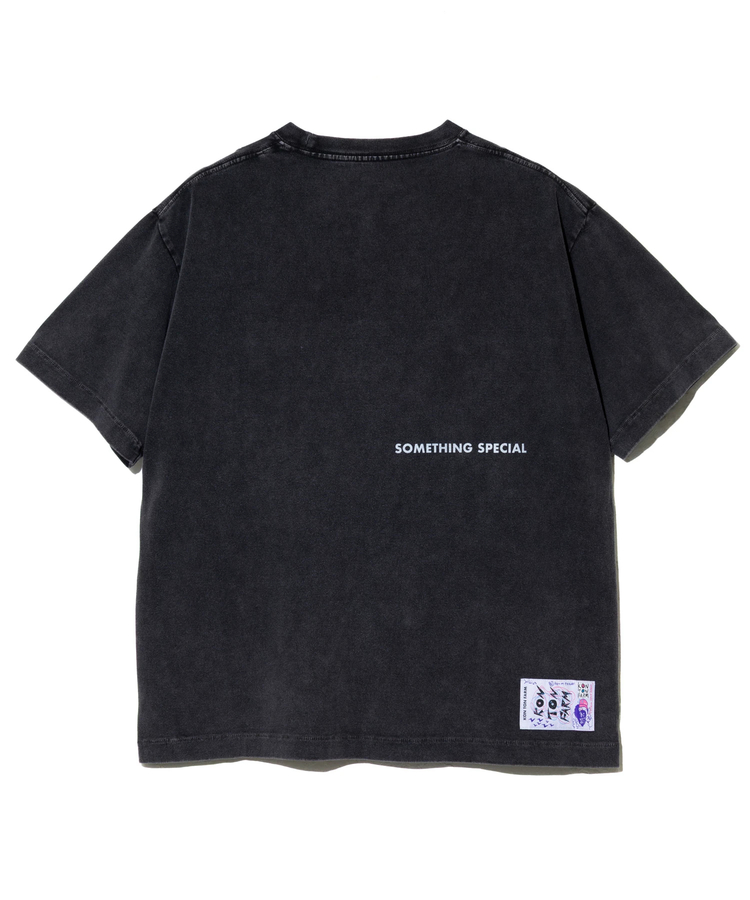 go slow caravan(ゴースローキャラバン) |RAY綿 G/D SOMETHING SPECIAL TEE (MENS)