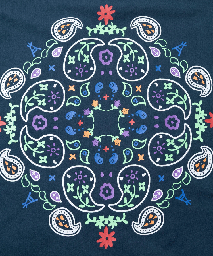 go slow caravan(ゴースローキャラバン) |USA/C ペイズリー ゆったり TEE (MENS/WOMENS)