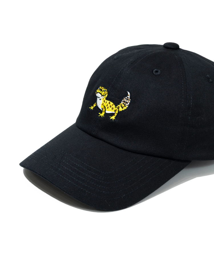 go slow caravan(ゴースローキャラバン) |ツイル刺繍 BBキャップ