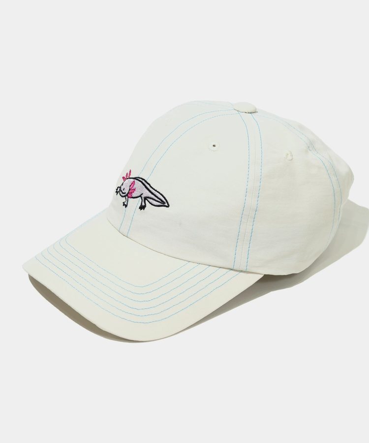 go slow caravan(ゴースローキャラバン) |N/Cカラーステッチ BBキャップ