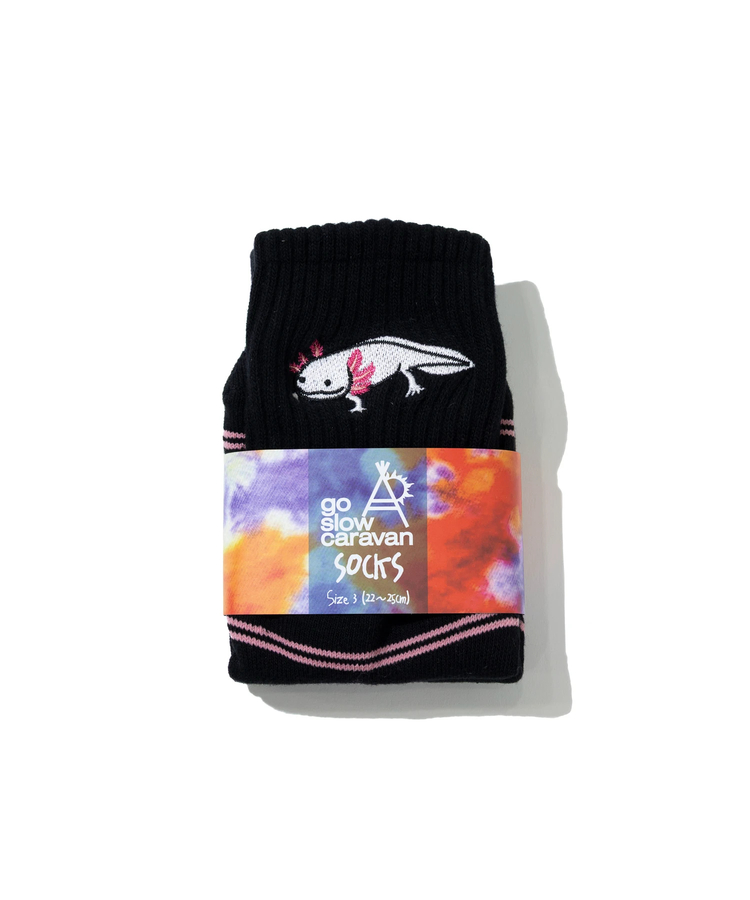 go slow caravan(ゴースローキャラバン) |パイルジャガード刺繍 クウォーターソックス (MENS/WOMENS)