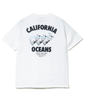 go slow caravan(ゴースローキャラバン) |DUCKSTER/ダックスター T/C度詰め天竺 レギュラーフィットS/STEE《CALI OCEAN》(MENS)