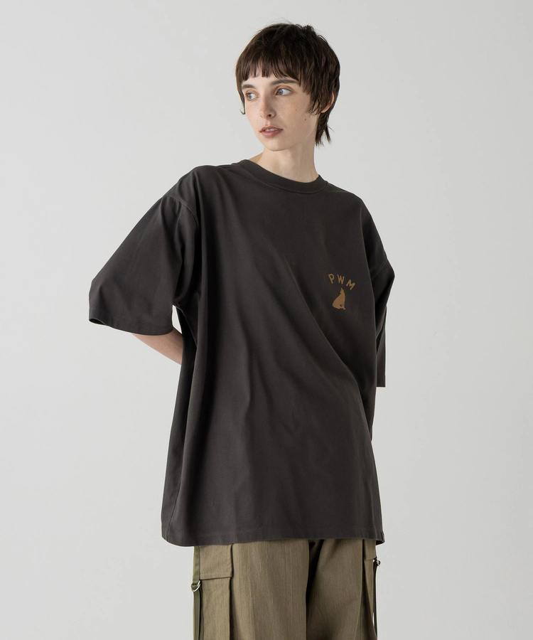 go slow caravan(ゴースローキャラバン) |PENDLETON/ペンドルトン Back Print Tee (MENS)