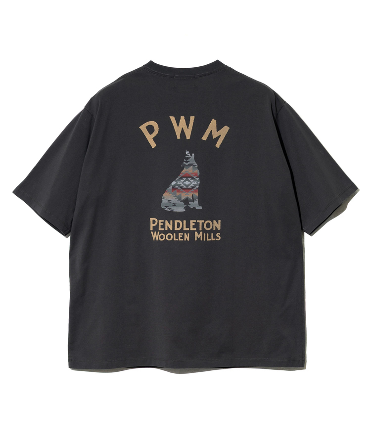 go slow caravan(ゴースローキャラバン) |PENDLETON/ペンドルトン Back Print Tee (MENS)