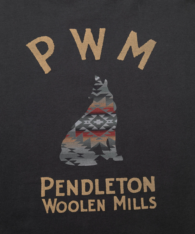 go slow caravan(ゴースローキャラバン) |PENDLETON/ペンドルトン Back Print Tee (MENS)