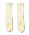 go slow caravan(ゴースローキャラバン) |ROSTER SOX/ロスターソックス LEMON (MENS/WOMENS)