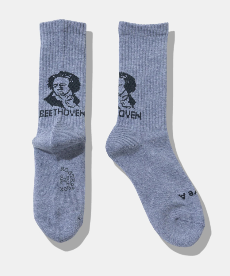 go slow caravan(ゴースローキャラバン) |ROSTER SOX/ロスターソックス BEETHVEN (MENS/WOMENS)