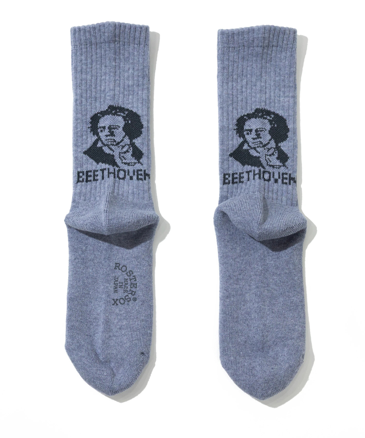 go slow caravan(ゴースローキャラバン) |ROSTER SOX/ロスターソックス BEETHVEN (MENS/WOMENS)