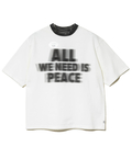 go slow caravan(ゴースローキャラバン) |FREE RAGE/フリーレイジ ハンドクラフト ラフ&タフ 半袖Tシャツ 《Airbrush Paint》(MENS)
