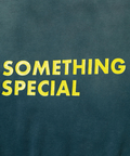 go slow caravan(ゴースローキャラバン) |SALO裏起毛 G/CW BOXクルー SOMETHING SPECIAL (MENS)