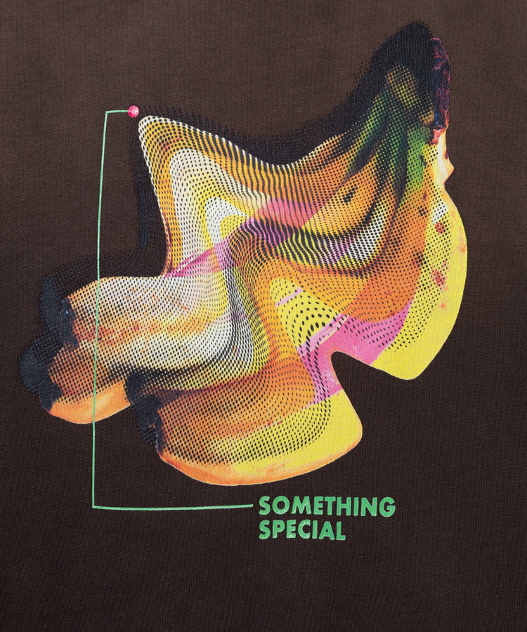 go slow caravan(ゴースローキャラバン) |SALO裏起毛 G/CW BOXクルー SOMETHING SPECIAL (MENS)