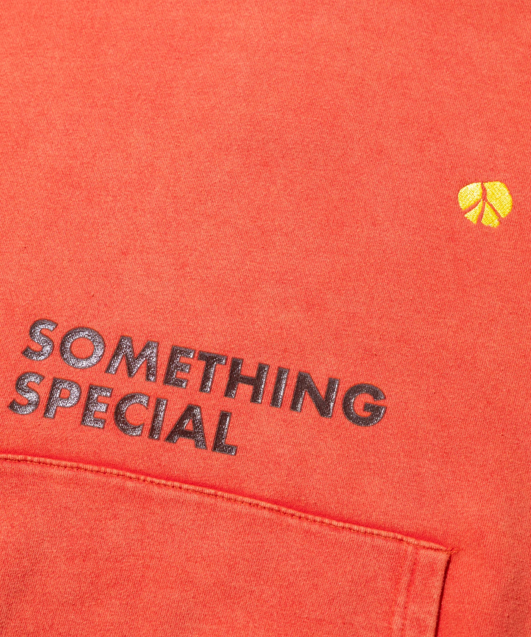 go slow caravan(ゴースローキャラバン) |SALO裏起毛 G/CW BOXフーディー SOMETHING SPECIAL (MENS)