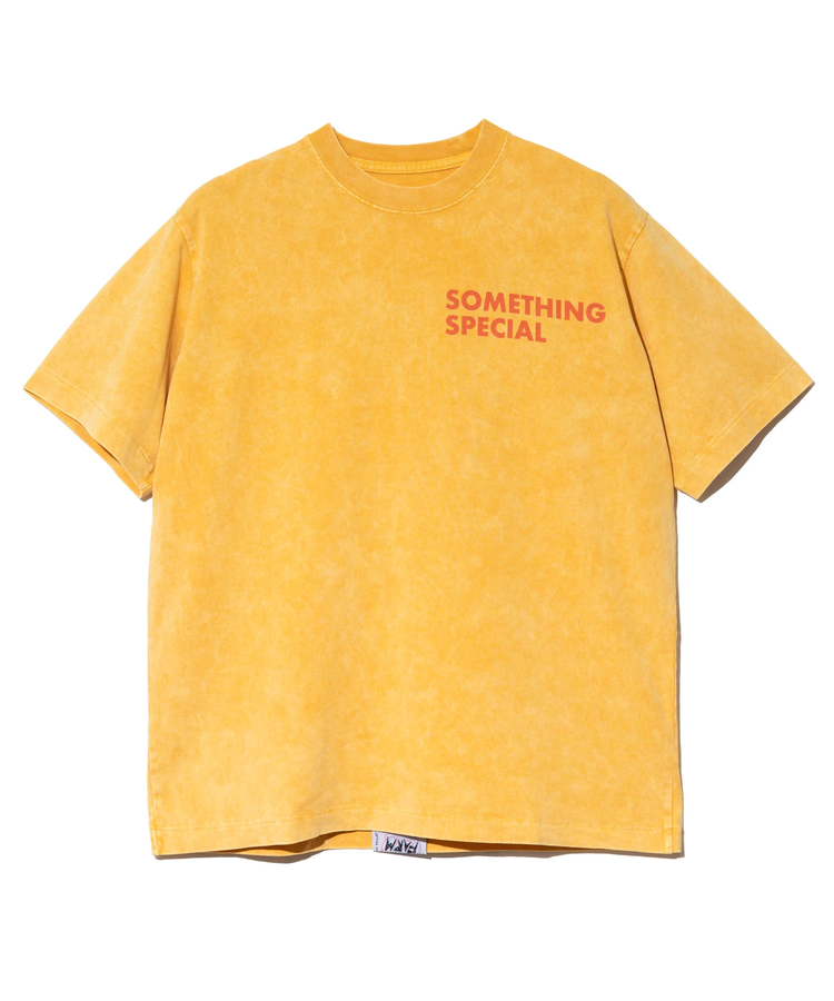 go slow caravan(ゴースローキャラバン) |RAY綿 G/D 年輪 TEE (MENS)