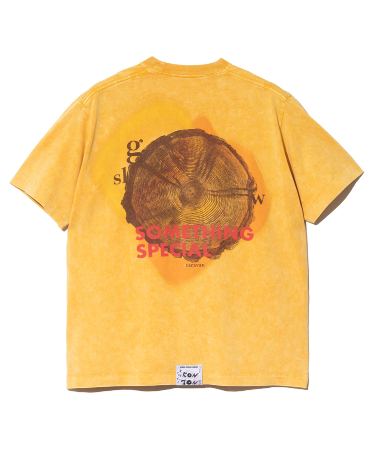 go slow caravan(ゴースローキャラバン) |RAY綿 G/D 年輪 TEE (MENS)