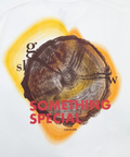 go slow caravan(ゴースローキャラバン) |RAY綿 G/D 年輪 TEE (MENS)