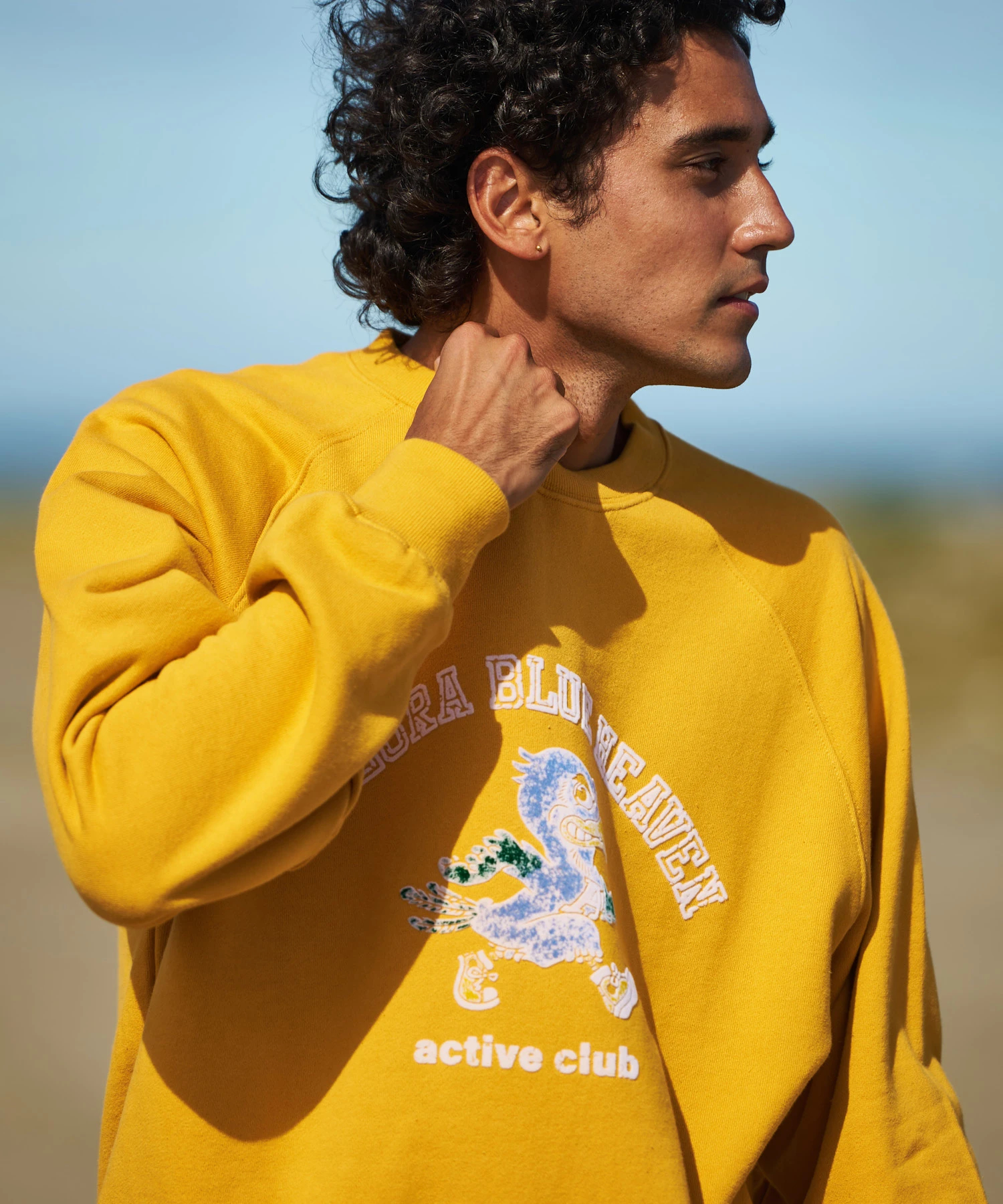 ブラッキー ★ 072/088 ブラッキー 072/088 ダークステアー