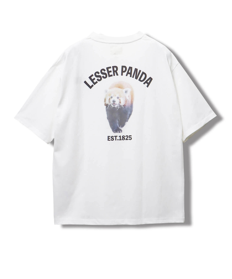 CORISCO(コリスコ) |CORISCOアニマルバックプリントTEE
