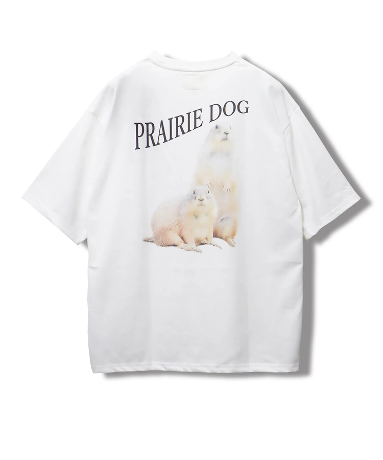 CORISCO(コリスコ) |CORISCOアニマルバックプリントTEE
