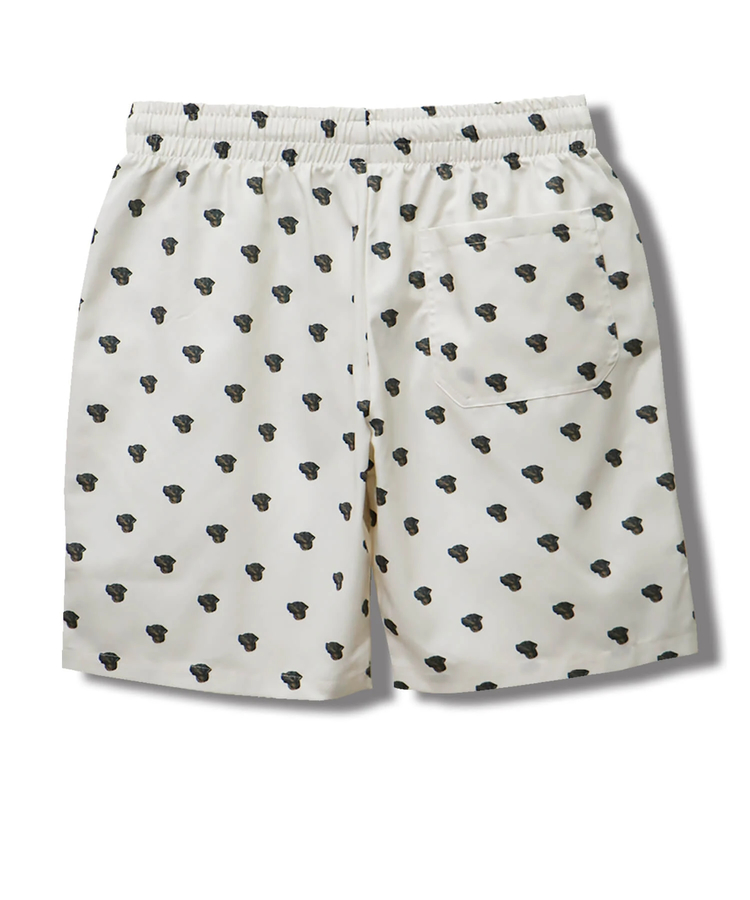 CORISCO(コリスコ) |CORISCO ツイルアニマル柄ショーツ(MENS)(WOMENS)