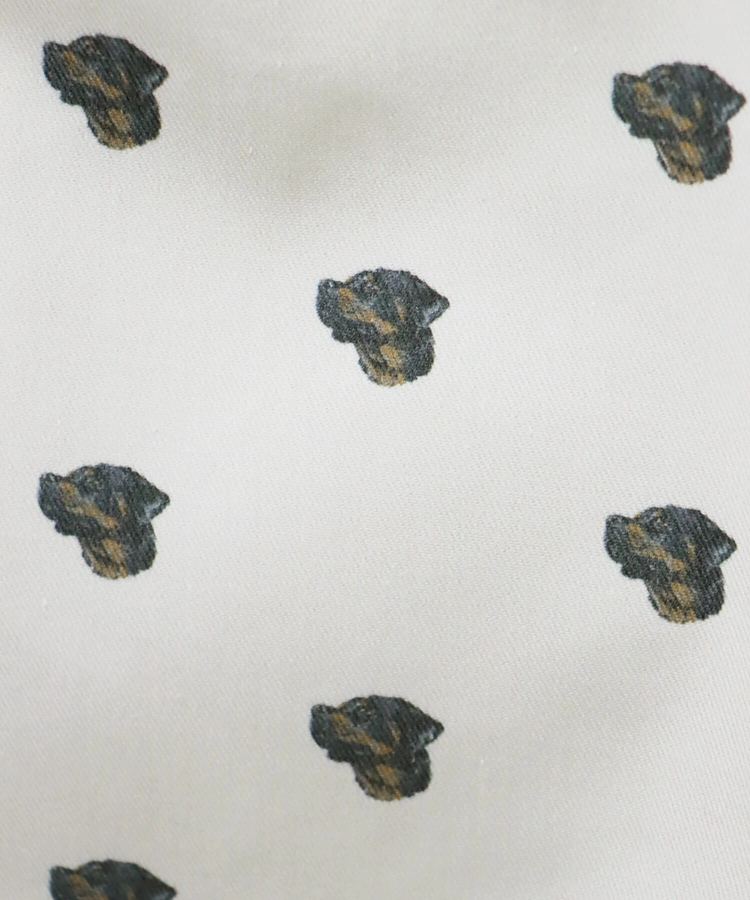 CORISCO(コリスコ) |CORISCO ツイルアニマル柄ショーツ(MENS)(WOMENS)
