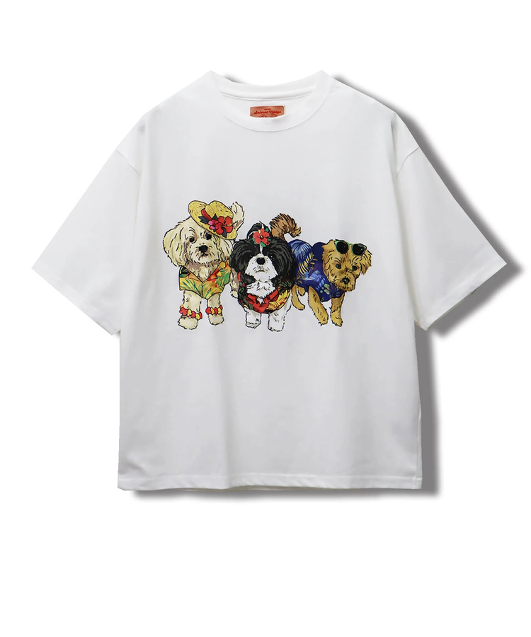 CORISCO(コリスコ) |CORISCOアニマルリゾート柄TEE(MENS)(WOMENS)