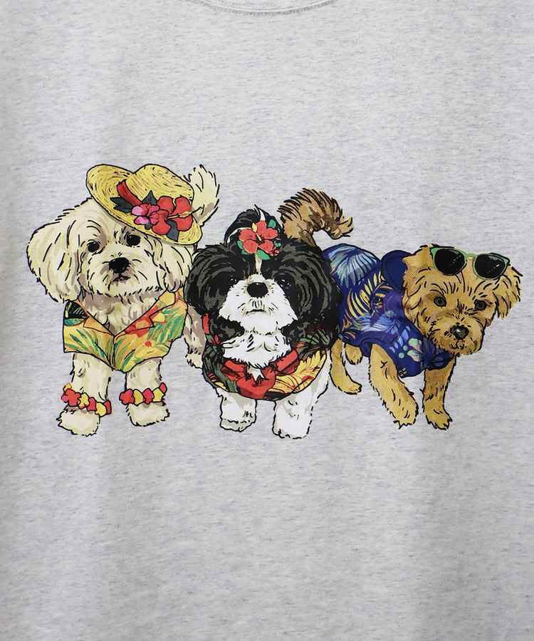CORISCO(コリスコ) |CORISCOアニマルリゾート柄TEE(MENS)(WOMENS)