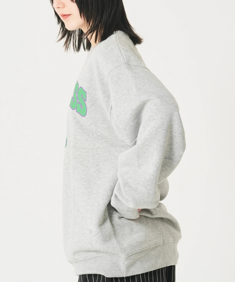 CORISCO(コリスコ) |裏起毛カレッジワッペンアニマル柄トレーナー（MENS/WOMENS)