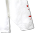 CORISCO(コリスコ) |CORISCOスター柄ロンTEE(MENS/WOMENS)