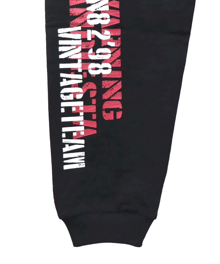 PANDIESTA(パンディエスタ) |SB PANDIESTA ミリタリー切替 スウェット パンツ(585951 MENS)