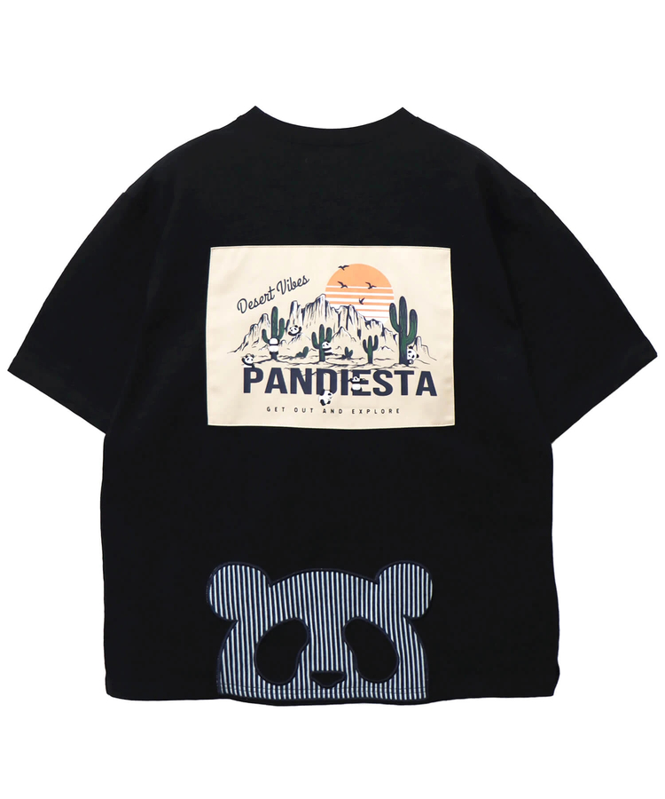 PANDIESTA(パンディエスタ) |SB PANDIESTA カンガルーポケット Tシャツ＆ショーツ セットアップ 上下組(585958 MENS)
