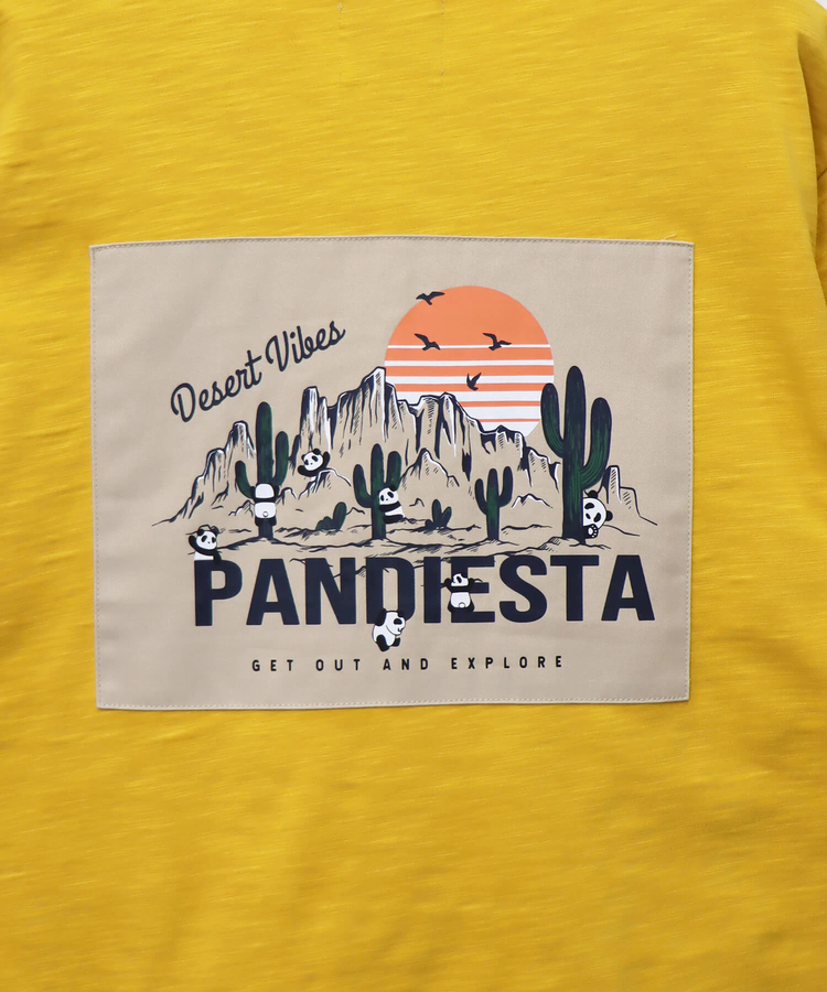 PANDIESTA(パンディエスタ) |SB PANDIESTA カンガルーポケット Tシャツ＆ショーツ セットアップ 上下組(585958 MENS)