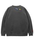PANDIESTA(パンディエスタ) |SB PANDIESTA スケートパンダ ピグメント クルー スウェット(564561 MENS)